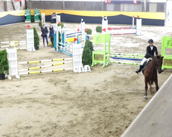 Reitturnier Erlen 2020