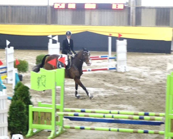 Reitturnier Erlen 2020