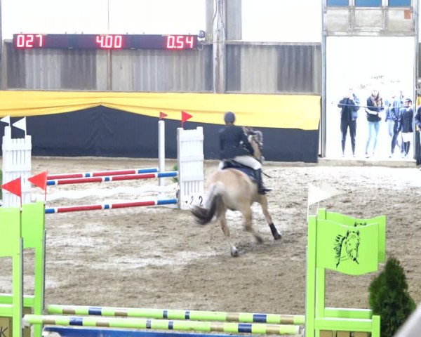 Reitturnier Erlen 2020