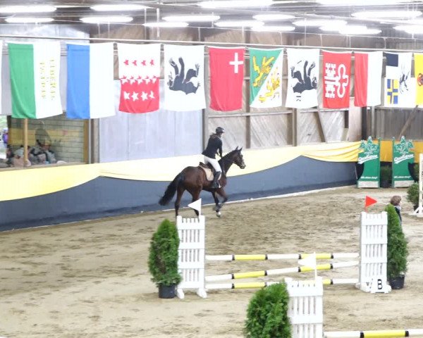 Reitturnier Erlen 2020
