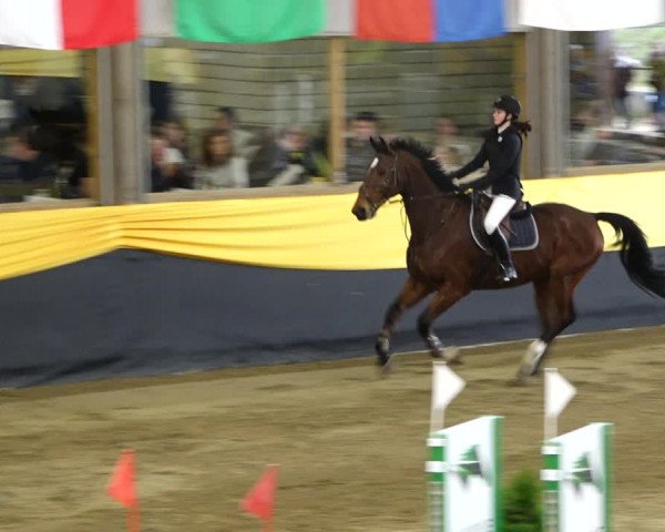 Reitturnier Erlen 2020