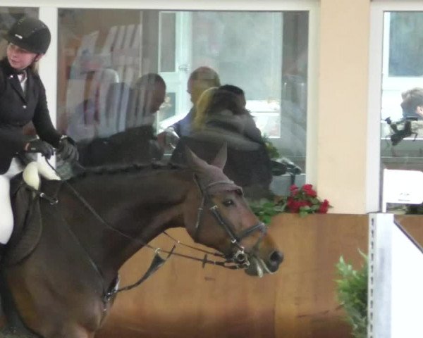 Reitturnier Dettingen 2020