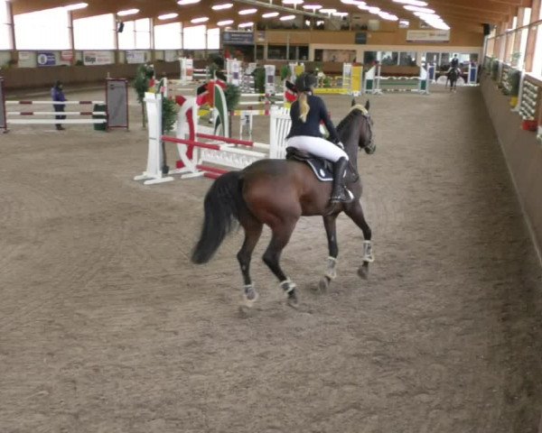 Reitturnier Dettingen 2020