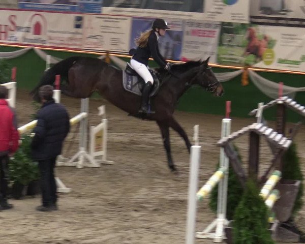 Reitturnier Keppeln - Reitanlage "Hötzenhof" 2020