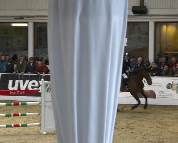 Reitturnier Borken 2020