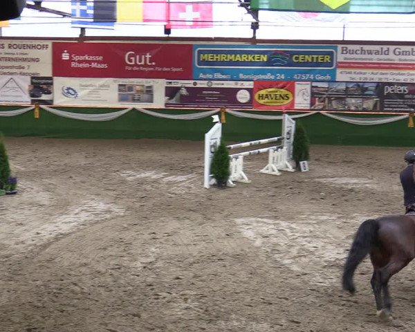 Reitturnier Keppeln - Reitanlage "Hötzenhof" 2020
