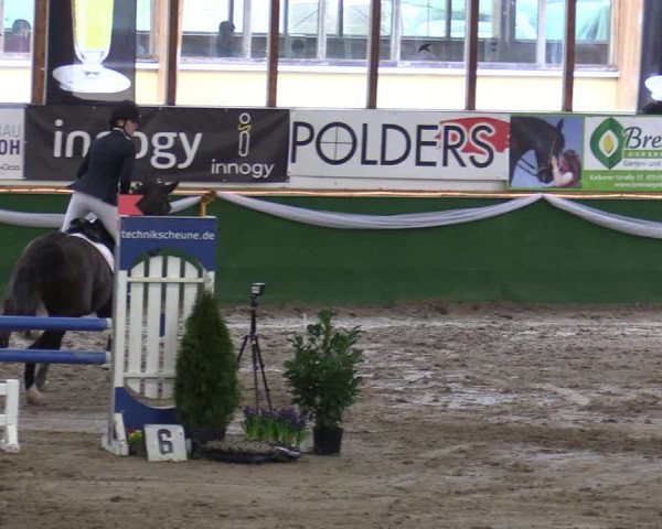 Reitturnier Keppeln - Reitanlage "Hötzenhof" 2020
