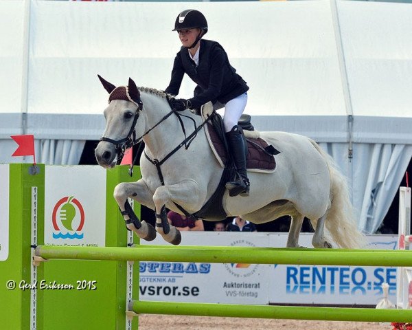 Zuchtstute Lindens Myrna (Connemara-Pony, 2001, von Frederiksminde Hazy Chance)