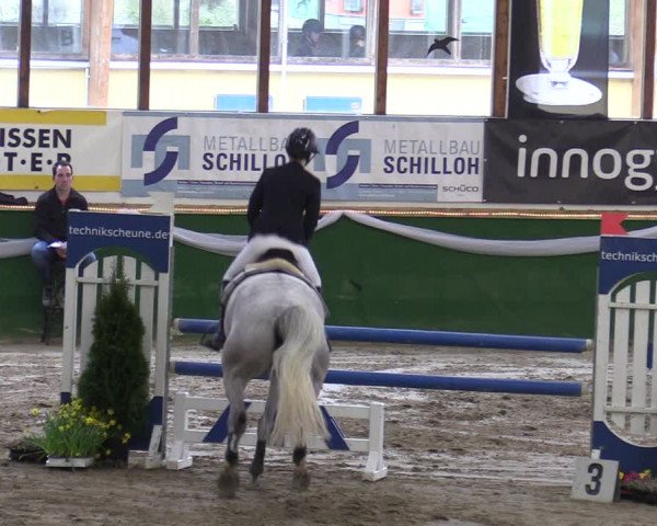 Reitturnier Keppeln - Reitanlage "Hötzenhof" 2020
