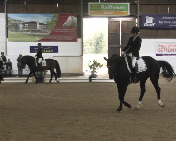 Reitturnier Viernheim 2020