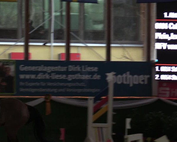 Reitturnier Keppeln - Reitanlage "Hötzenhof" 2020