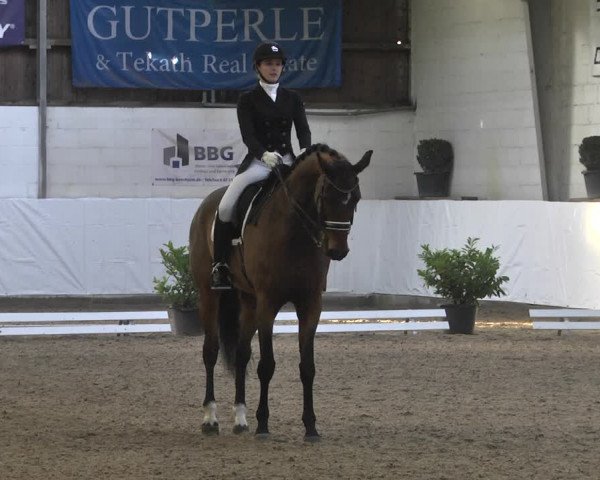 Reitturnier Viernheim 2020