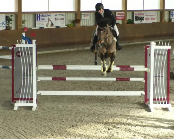 Reitturnier Dettingen 2020