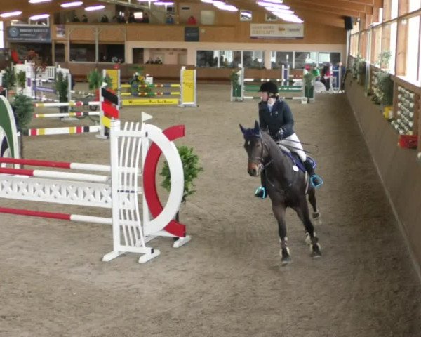 Reitturnier Dettingen 2020