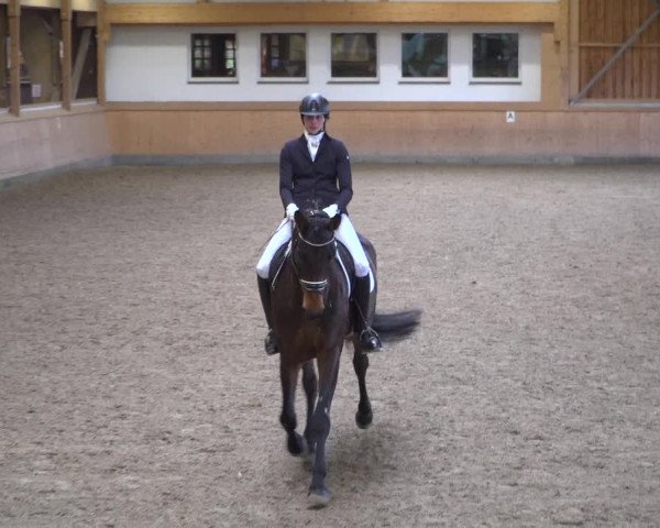 Reitturnier Schenefeld 2020