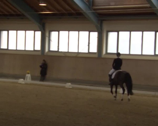 Reitturnier Kreuth/Opf. 2020