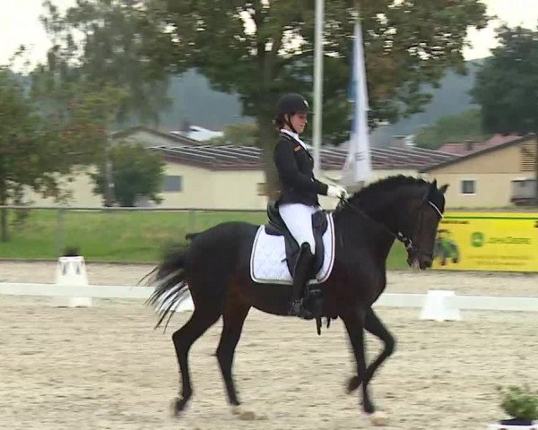 Süddeutsche Ponymeisterschaften Rot am See- Musdorf 2021