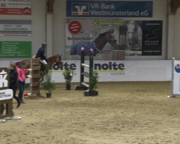 Reitturnier Borken 2020