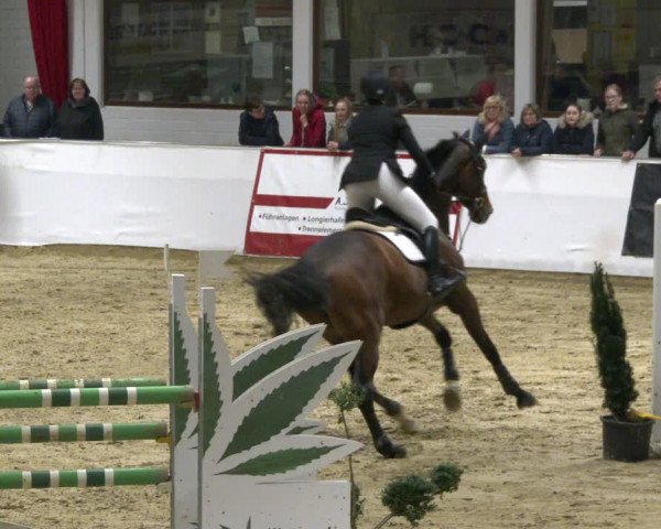 Reitturnier Borken 2020