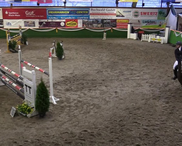 Reitturnier Keppeln - Reitanlage "Hötzenhof" 2020