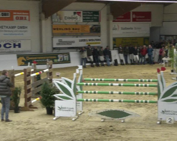 Reitturnier Borken 2020