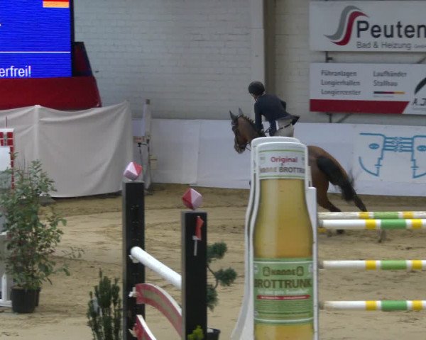 Reitturnier Borken 2020