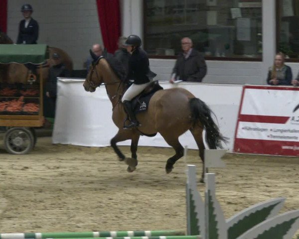 Reitturnier Borken 2020