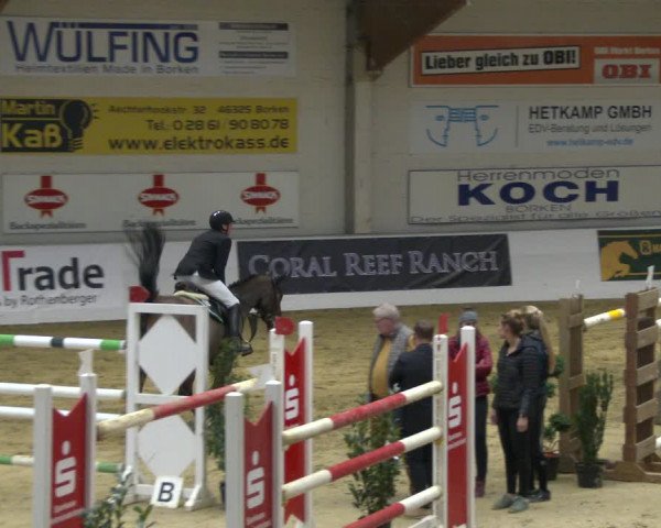 Reitturnier Borken 2020