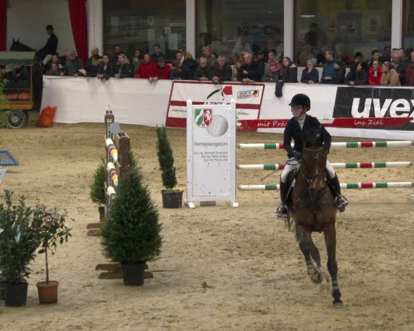 Reitturnier Borken 2020
