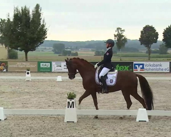Süddeutsche Ponymeisterschaften Rot am See- Musdorf 2021