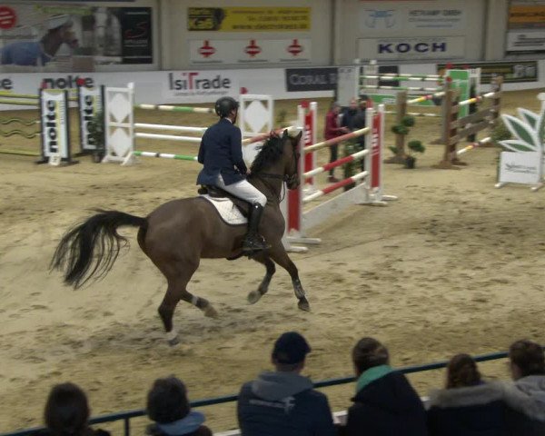 Reitturnier Borken 2020