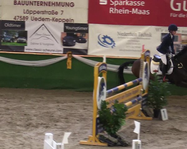 Reitturnier Keppeln - Reitanlage "Hötzenhof" 2020