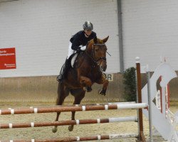 broodmare Ferrera Be Good 2 (Oldenburg, 2007, from Fuerstentraum 2)
