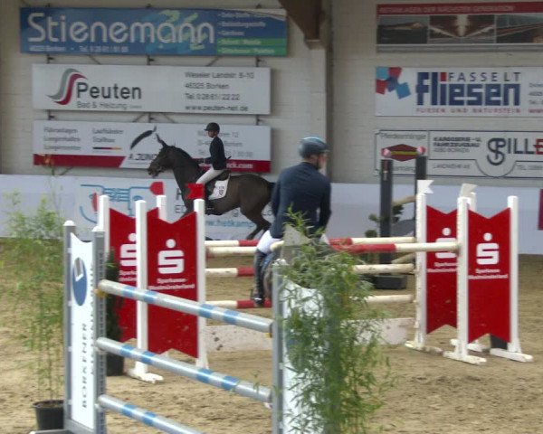 Reitturnier Borken 2020