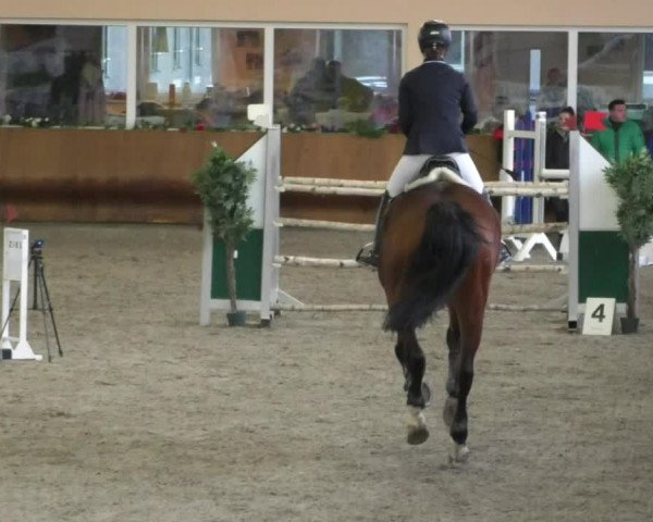 Reitturnier Dettingen 2020