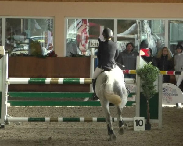 Reitturnier Dettingen 2020