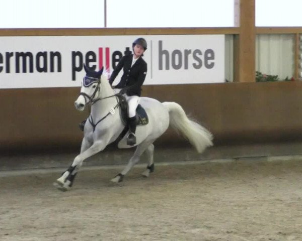 Reitturnier Dettingen 2020