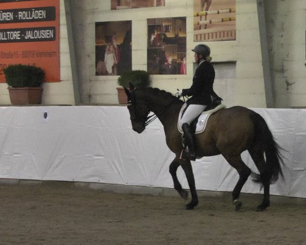 Reitturnier Viernheim 2020