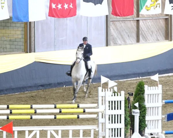 Reitturnier Erlen 2020