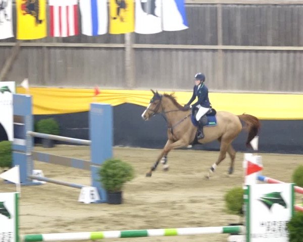 Reitturnier Erlen 2020