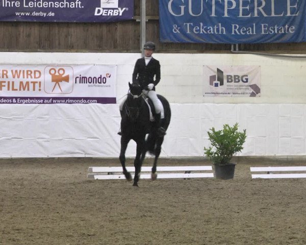 Reitturnier Viernheim 2020