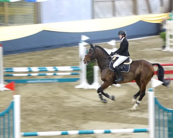 Reitturnier Erlen 2020