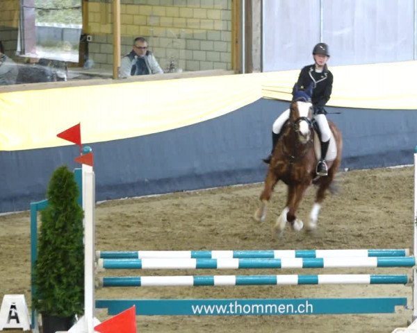 Reitturnier Erlen 2020