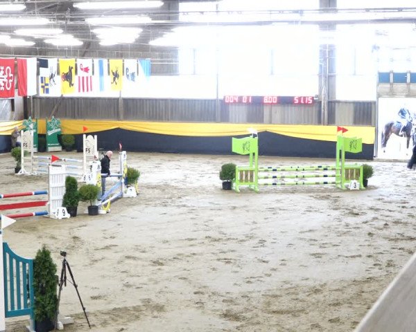 Reitturnier Erlen 2020