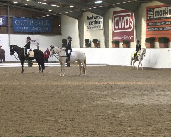 Reitturnier Viernheim 2020