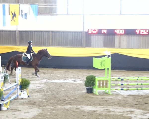 Reitturnier Erlen 2020