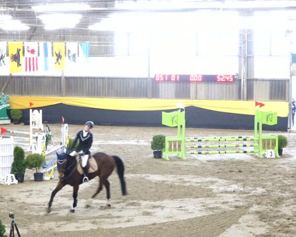 Reitturnier Erlen 2020