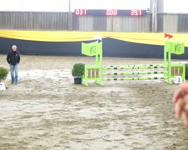 Reitturnier Erlen 2020