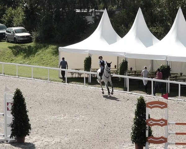 Pferdesporttage Bülach 2021