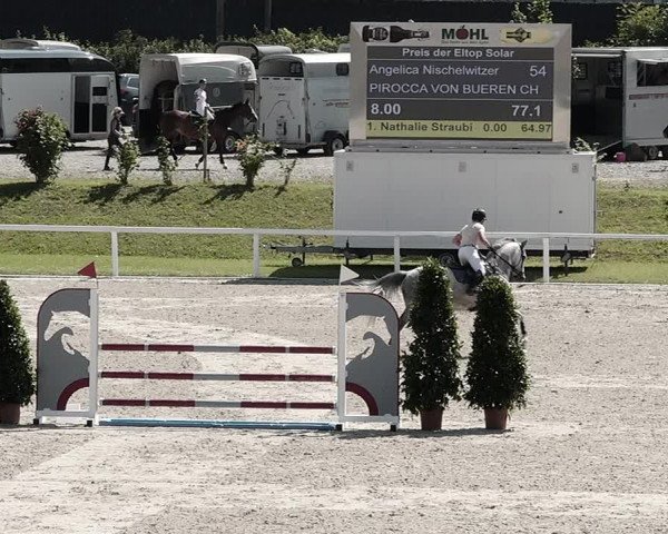 Pferdesporttage Bülach 2021
